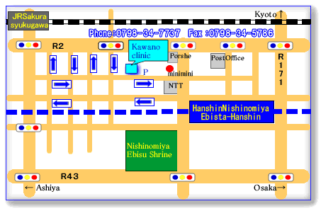 Near Hanshin Nishinomiya Station or JR Sakura-syukugawa Station